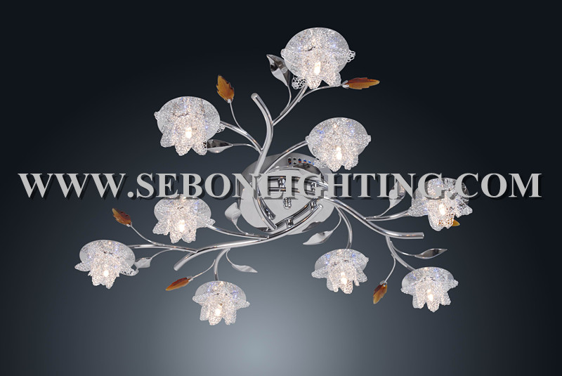 Sebon hot sale ceiling light(SBC5210-9-LED)