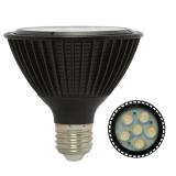 UL E26 12W DIMMABLE LED PAR30 LAMP