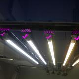 1.2m ul t8 led tube light(1750lm 18w 120-277V 3years warranty)