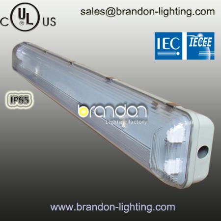 IP65 weatherproof lighting fixture >>