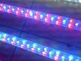 LED rope light series