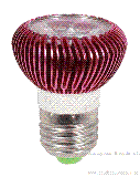 RDQP020 LED bulb Lamp Series
