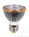 RDQP022 LED bulb Lamp Series