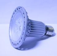 LED PAR30
