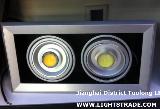 20W New high power led down light