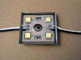 LED Module
