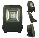 10W-100W Popular LED flood light--White, black, Silver color crust--CE&ROHS,