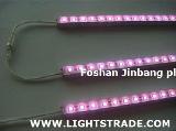 LED Flexible Strip Lights-Waterproof SMD 5050 outdoor light bar-2 /d