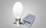Electrodeless Lamp   QBTH200WO