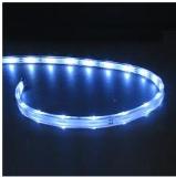 SMD5050 Ip65 casing waterproof 60leds/m white led strip