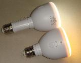 CFHIG2177A-5W LED Emergency Bulb with E27/B22 Lamp Base