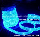 LED Rope Light Flat 7 Wires