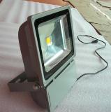 100W LED COB Flood light with outdoor white color