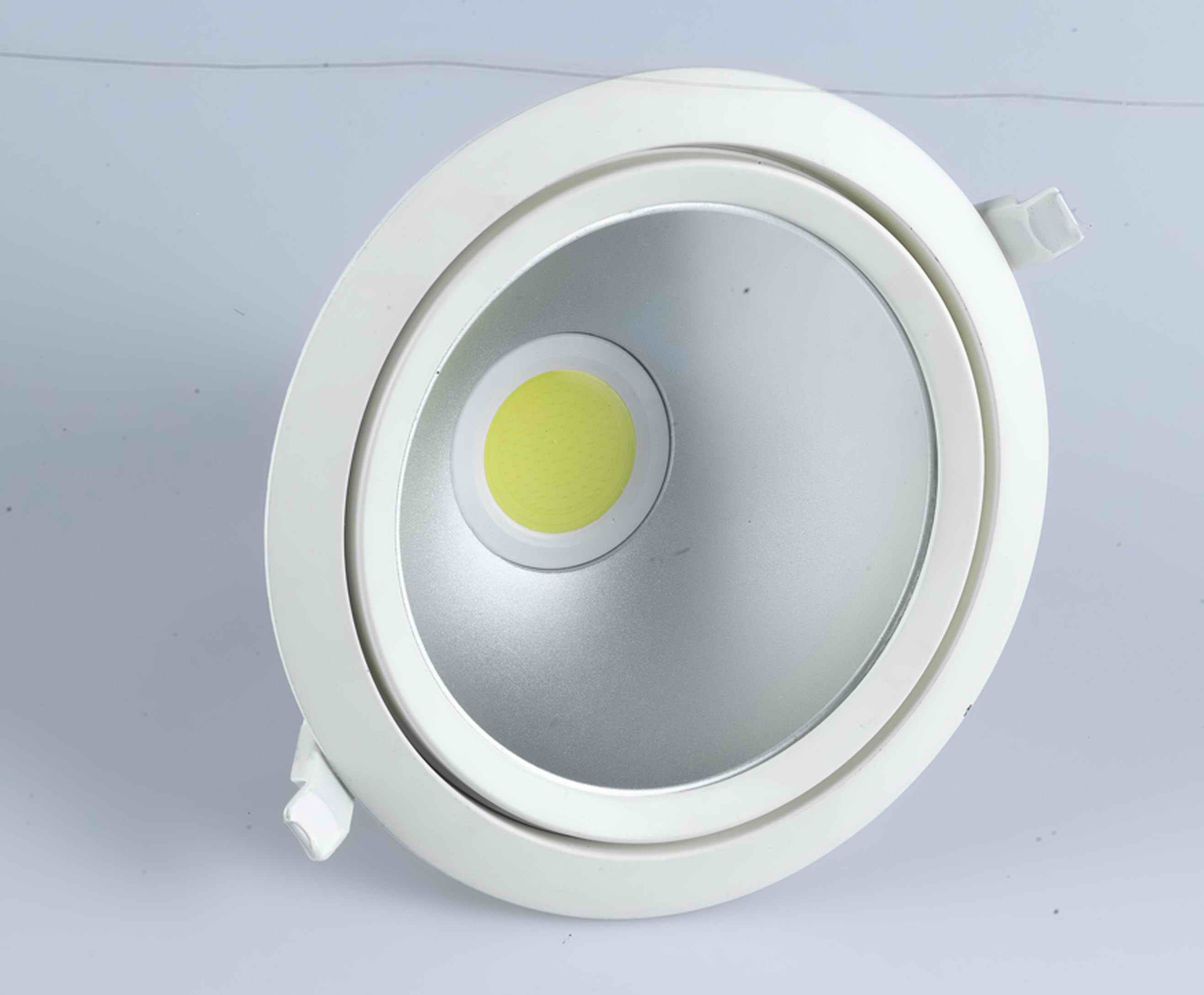 20W COB LED Downlight with CE Approval