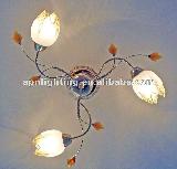 2012 new home decorative light