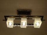 modern ceiling light