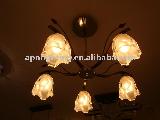 2011 new style modern ceiling light