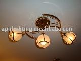 2011 new style modern ceiling light