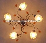 2012 new design ceiling light