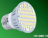 HR-SMD-70 LED Lighting