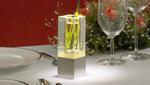 Crystal vase LED  TL-H1