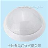 Ceiling Light  XT-9027