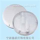 Ceiling Light  XT-0832 0833