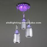 pendant light& lighting with LED X1201-3