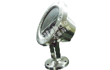 9W underwater lamp DS-ISDD-81009N-3A