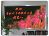 Full-color LED Indoor Display