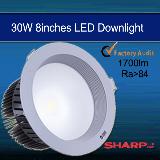Ultra Bright 30W 8 Inch LED Downlight IP44