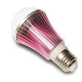 LED Bulb 7W
