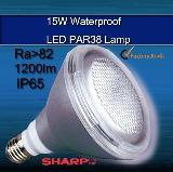 Outdoor PAR38 15W IP65 LED Spot Light 1200lm