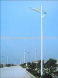 6m single arm pole with lamps