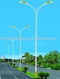 Decorative Double Arm Street Light Pole