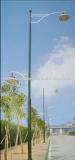 13m double arms lighting pole