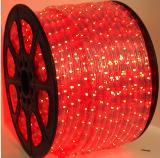 DS-R2-RED LED rope light 220V
