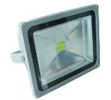 50W LED Flood Light IP65 With BRIDGELUX