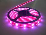 ROPE LIGHT SMD3528 DC12V AC220V