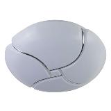 LED Ceiling Light  HL-53