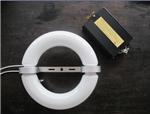 40W-300W low frequency Induction Lamp Light Source Round shape 2700K-6500K