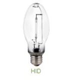 HID  LED Bulb