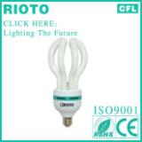 Hot Sales Cixing Lotus 17MM Saving Energy Lamp ISO9001