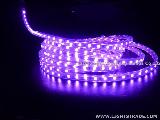 LED Strip Lights SMD5050 PUPLE
