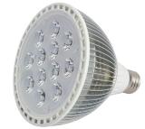 Top quality PAR38 white/warm white 12W cree led spotlights