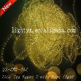 220v Yellow Led Rope Light (2-wire), 220v Christmas Decoration Light Outdoor