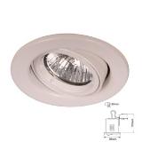 Fire Rated Twist and Lock Tilt Downlight