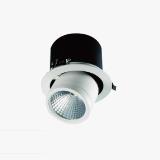 Recessed Ceiling LED Spotlight One (Adjustable)