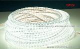 3528 white smd led strip high voltage 60leds/M waterproof ip65 for christmas light
