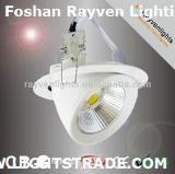 SAA/CE 15W BRIDGELUX COB LED Shoplight with Twist Angle 350 degree